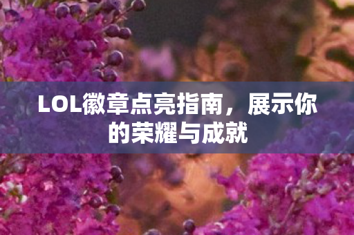 LOL徽章点亮指南图片