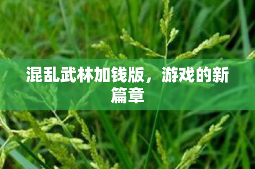 混乱武林加钱版图片