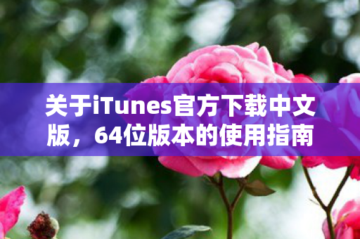 关于iTunes官方下载中文版图片