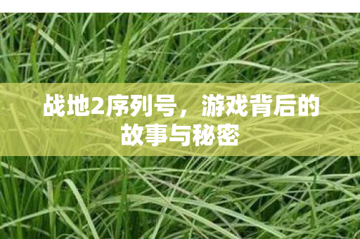 游戏背后的故事与秘密图片