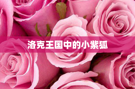 洛克王国中的小紫狐图片
