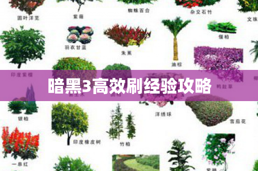 暗黑3高效刷经验攻略图片
