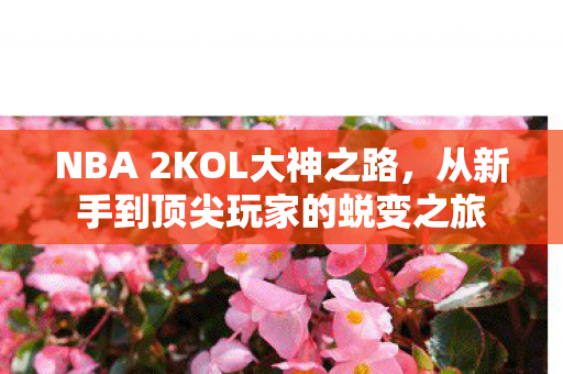 从新手到顶尖玩家的蜕变之旅图片