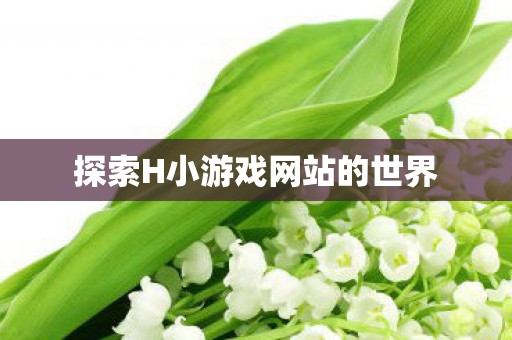 探索H小游戏网站的世界图片