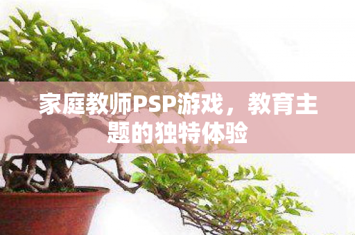 家庭教师PSP游戏图片