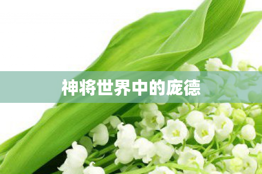 神将世界中的庞德图片