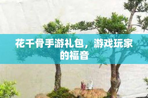 花千骨手游礼包图片