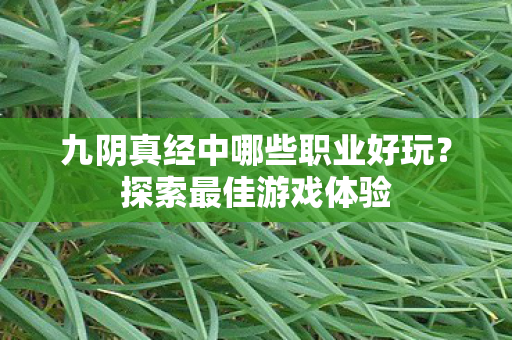 九阴真经中哪些职业好玩图片