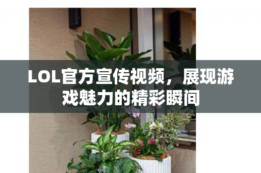 展现游戏魅力的精彩瞬间图片