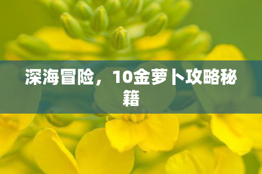 10金萝卜攻略秘籍图片
