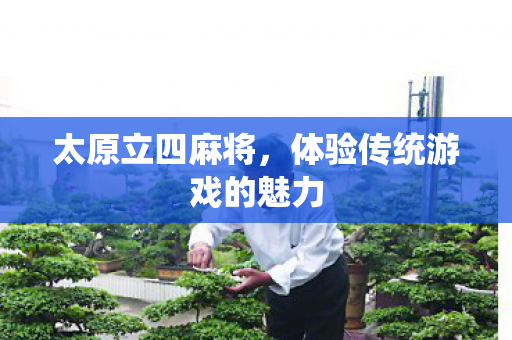 体验传统游戏的魅力图片