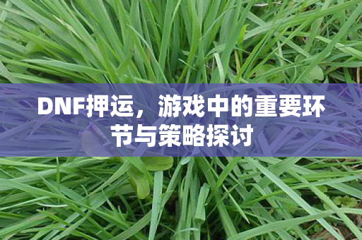 游戏中的重要环节与策略探讨图片