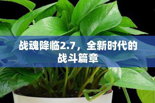 全新时代的战斗篇章图片