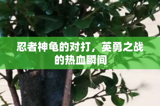 英勇之战的热血瞬间图片