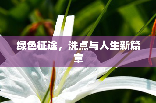洗点与人生新篇章图片
