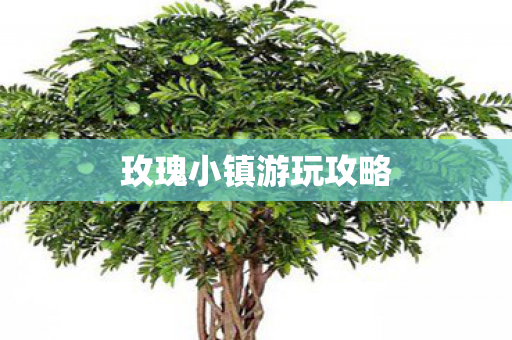 玫瑰小镇游玩攻略图片