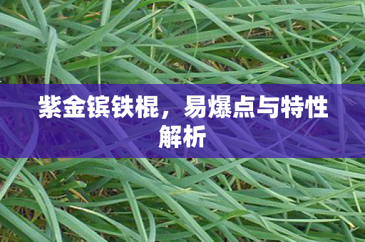 易爆点与特性解析图片