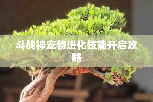 斗战神宠物进化技能开启攻略图片
