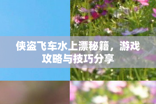 侠盗飞车水上漂秘籍图片