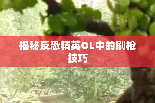 揭秘反恐精英OL中的刷枪技巧图片