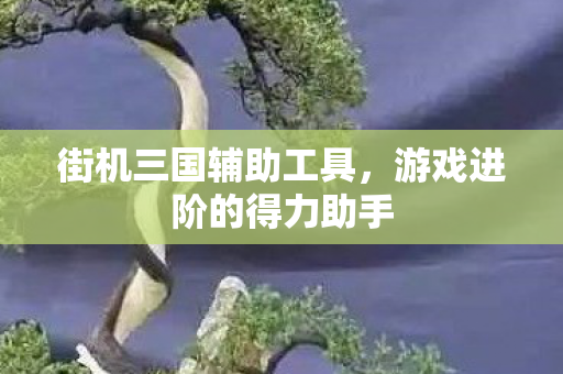 游戏进阶的得力助手图片