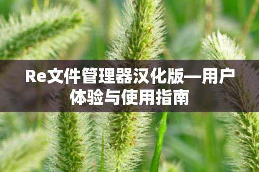 Re文件管理器汉化版图片