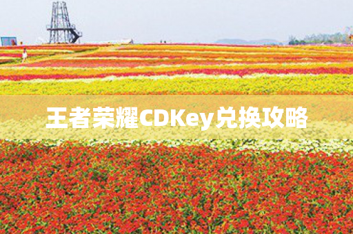 王者荣耀CDKey兑换攻略图片