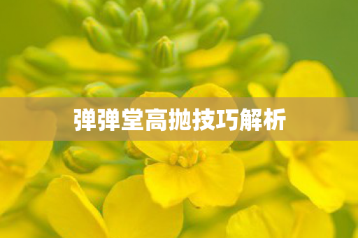 弹弹堂高抛技巧解析图片