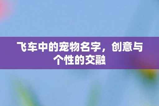 飞车中的宠物名字图片