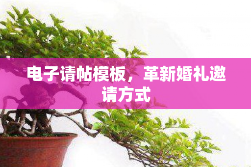 革新婚礼邀请方式图片