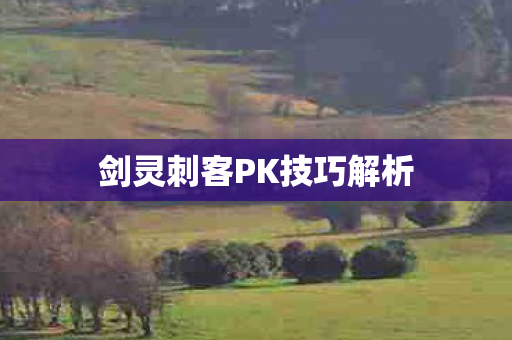 剑灵刺客PK技巧解析图片
