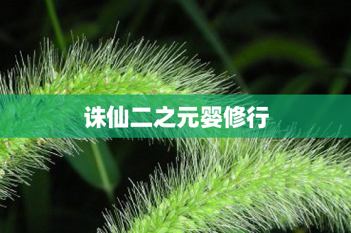 诛仙二之元婴修行图片