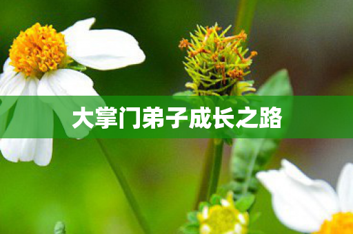 大掌门弟子成长之路图片