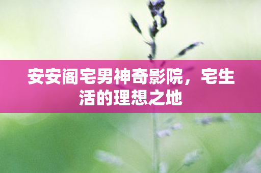 安安阁宅男神奇影院图片