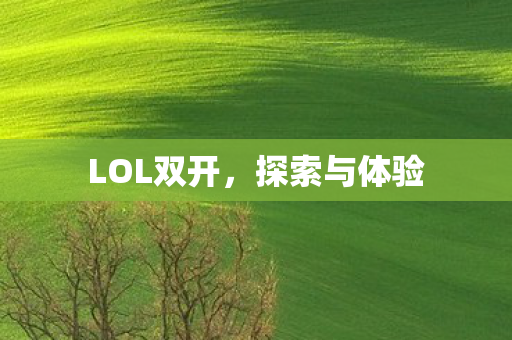 LOL双开图片