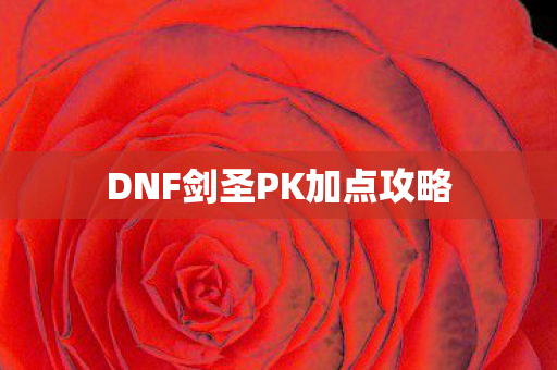 DNF剑圣PK加点攻略图片