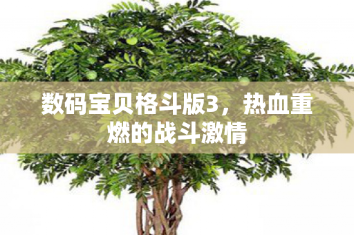 热血重燃的战斗激情图片