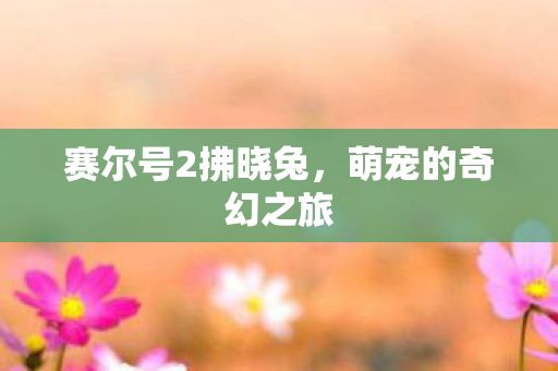 赛尔号2拂晓兔图片