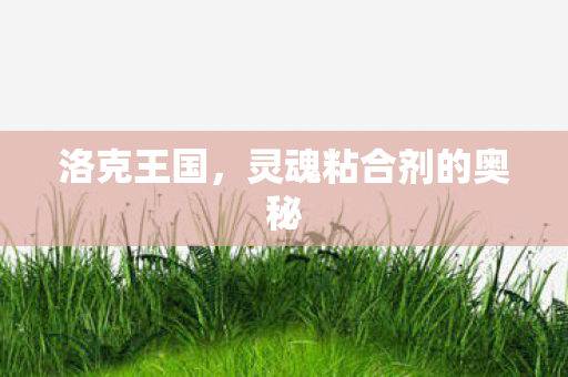 灵魂粘合剂的奥秘图片
