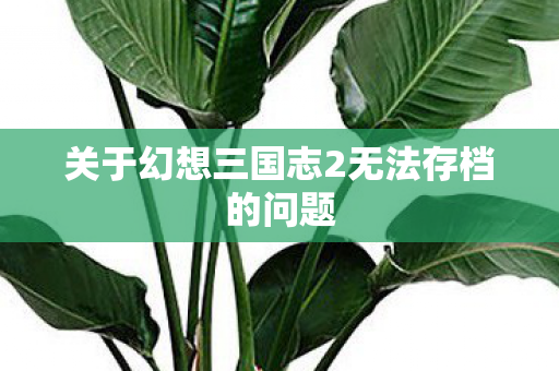 关于幻想三国志2无法存档的问题图片