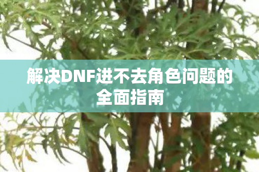 解决DNF进不去角色问题的全面指南图片