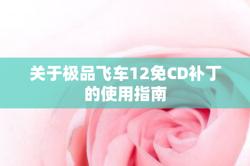 关于极品飞车12免CD补丁的使用指南图片