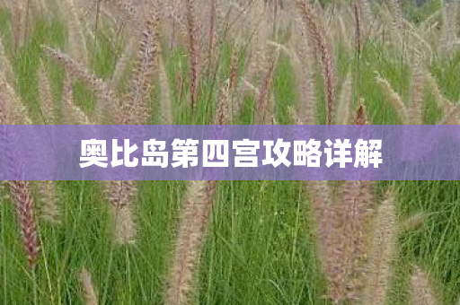 奥比岛第四宫攻略详解图片