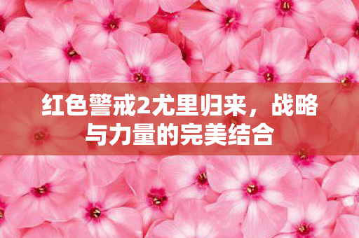 战略与力量的完美结合图片