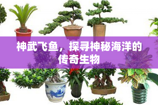 探寻神秘海洋的传奇生物图片