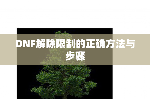 DNF解除限制的正确方法与步骤图片