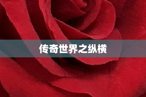 传奇世界之纵横图片