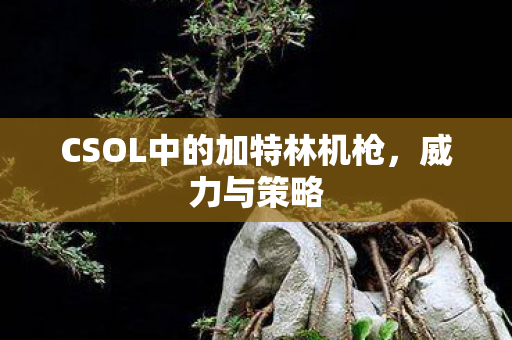 CSOL中的加特林机枪图片