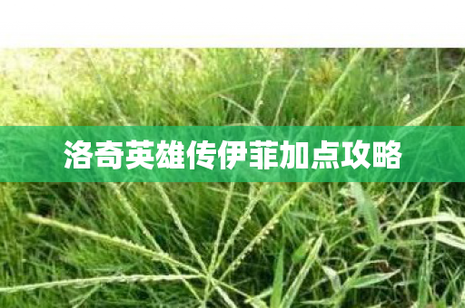 洛奇英雄传伊菲加点攻略图片