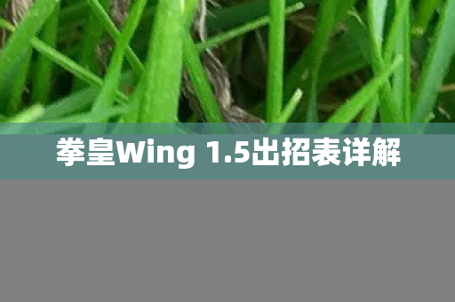 拳皇Wing 1图片